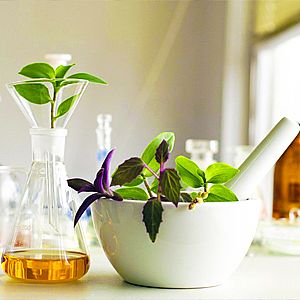 Τριχόπτωση: Βότανα σύμμαχοι των μαλλιών σας